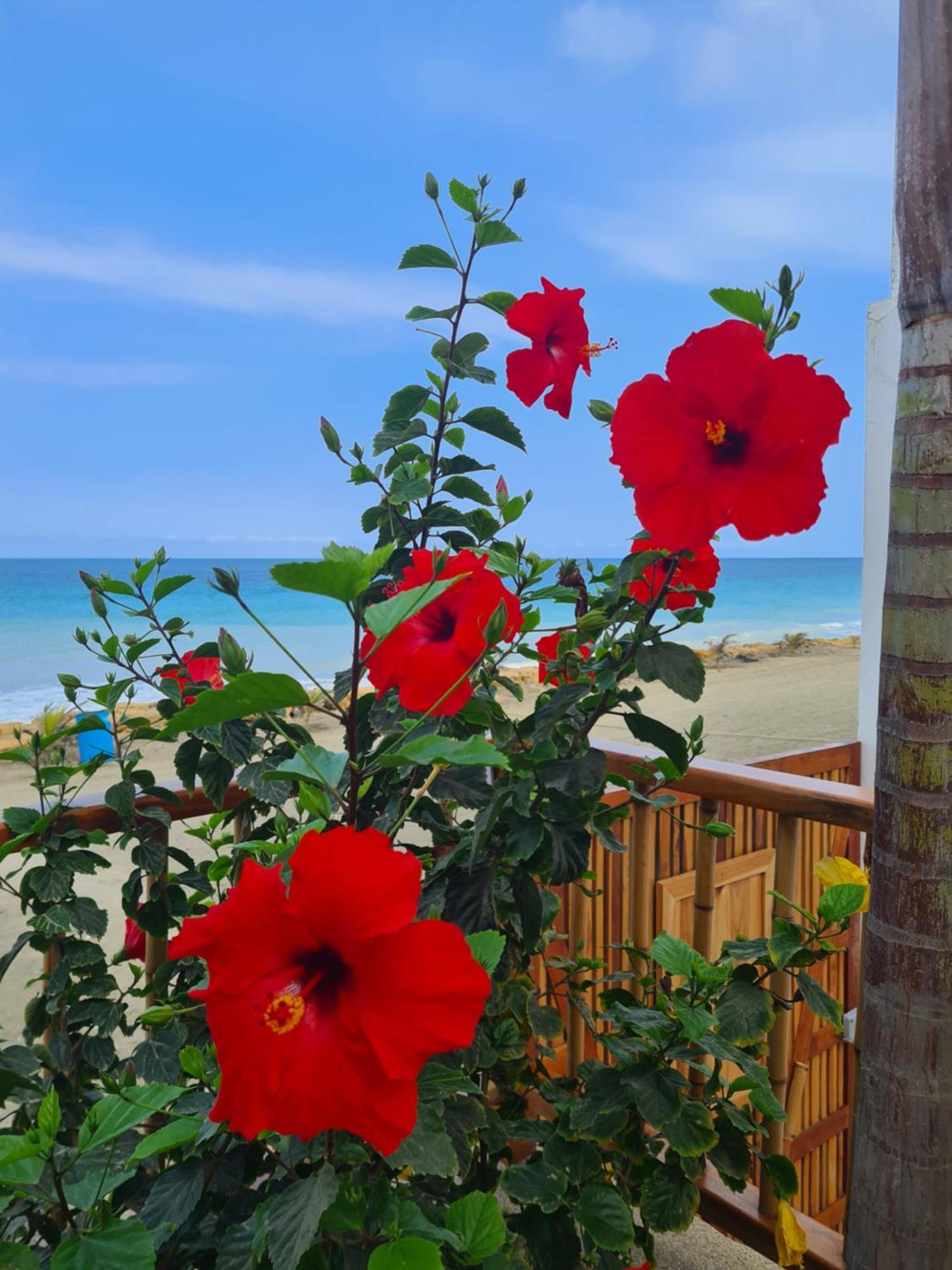 Intiquilla Hotel Manta Dış mekan fotoğraf